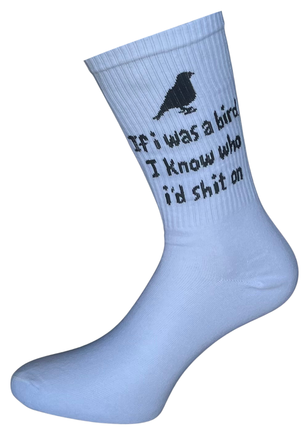 If I was a bird I know who i'd shit on